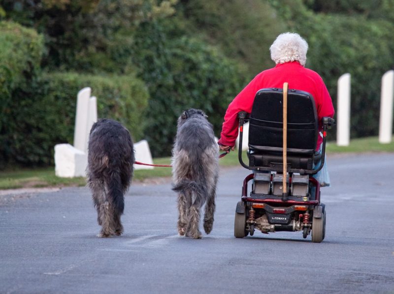 Oudere vrouw op een scootmobiel met twee honden aan de lijn